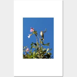 Tiny Palm Warbler on Top of Flowering Tree Posters and Art